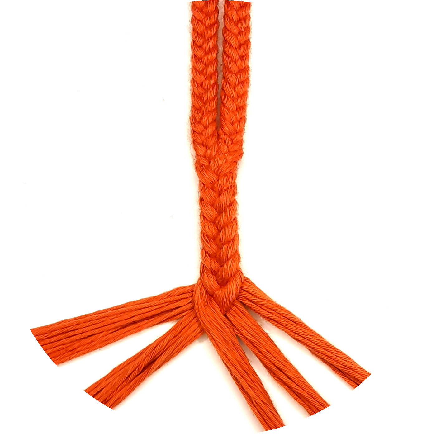 Bild des fertiggestellten Bauches