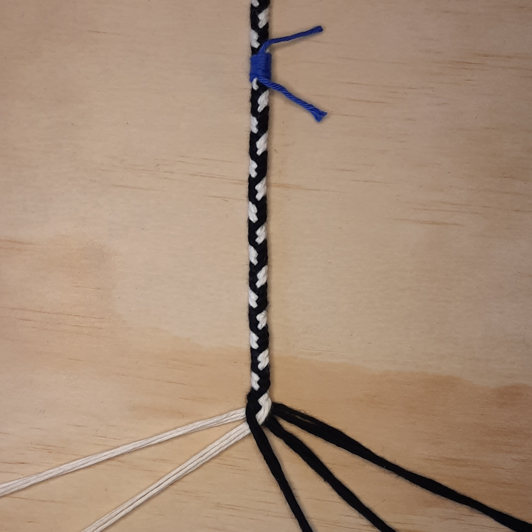 Bild des Schusslaufes