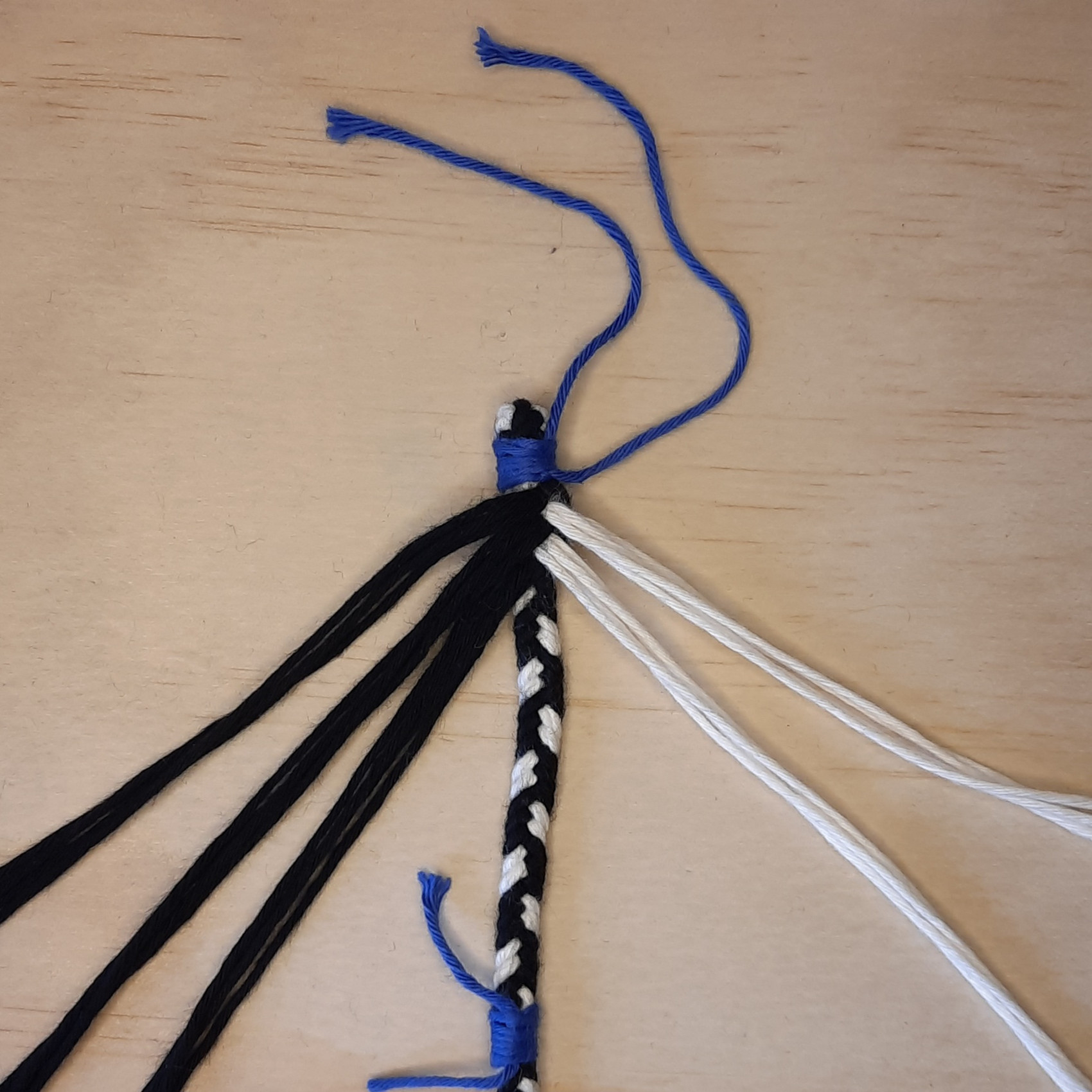 Bild des Schusslaufes