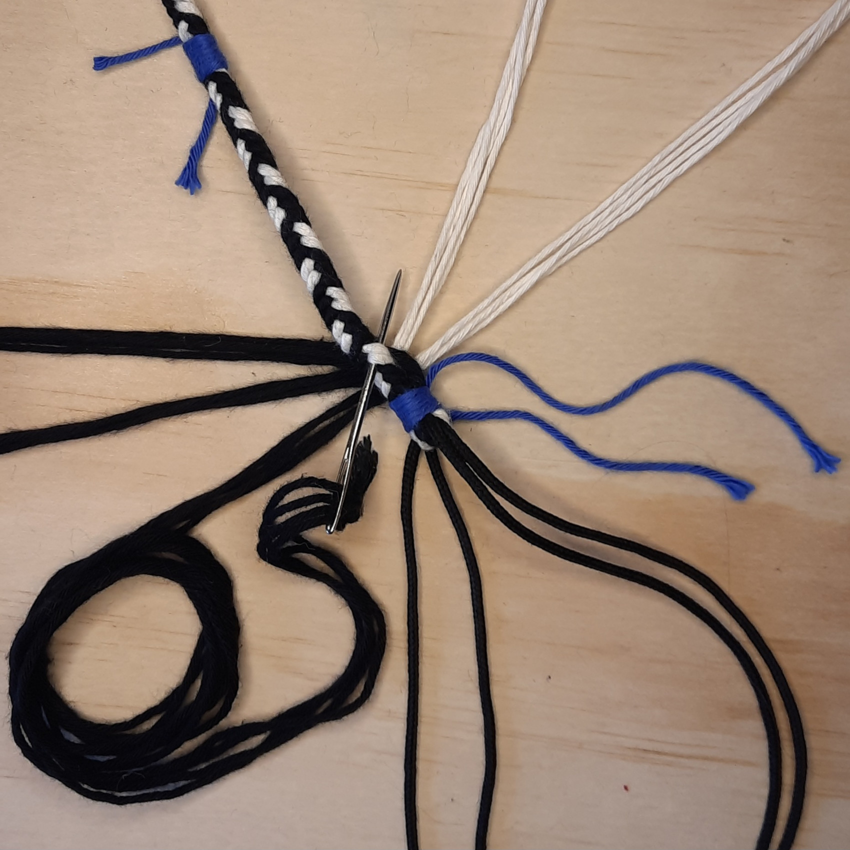 Bild des Schusslaufes