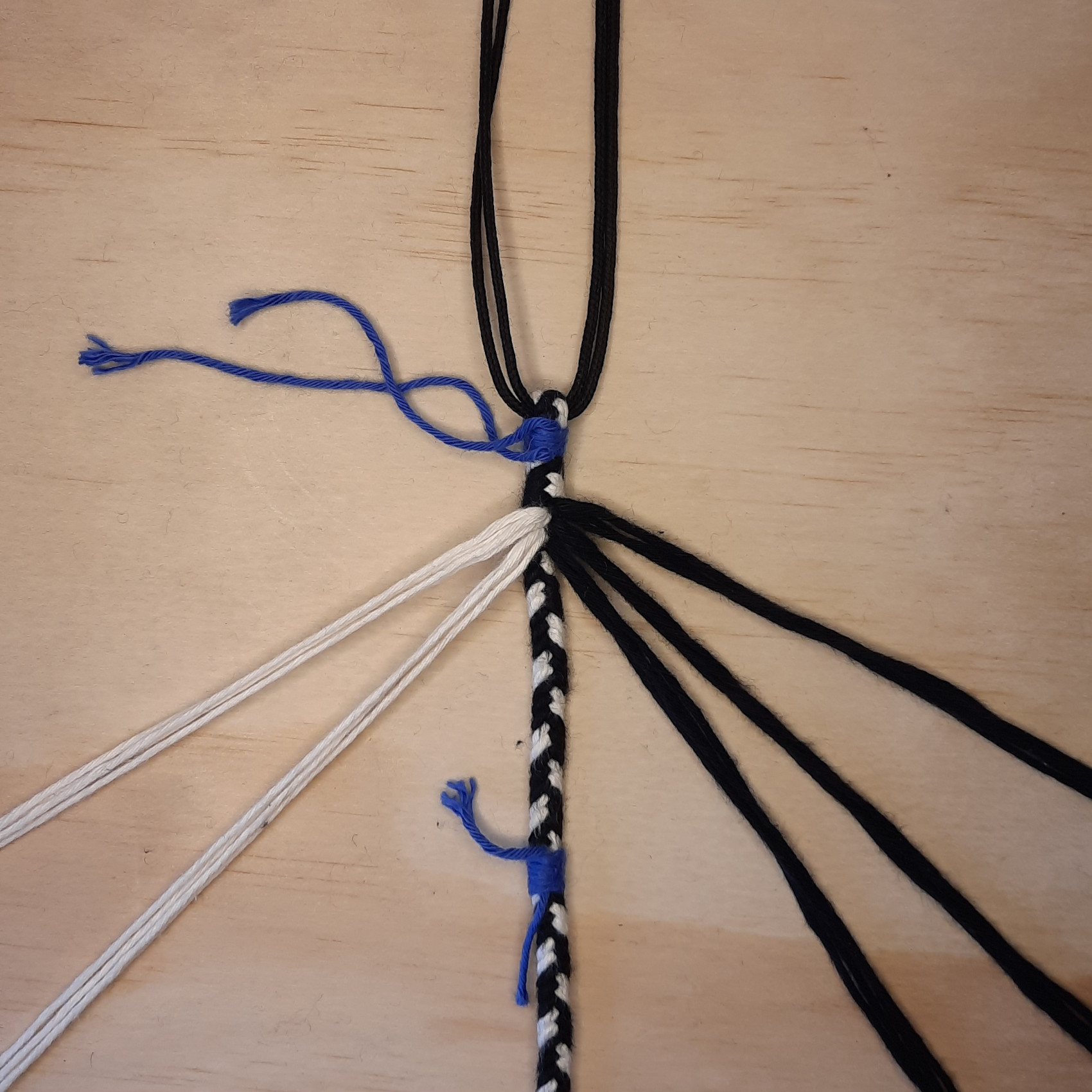 Bild des Schusslaufes