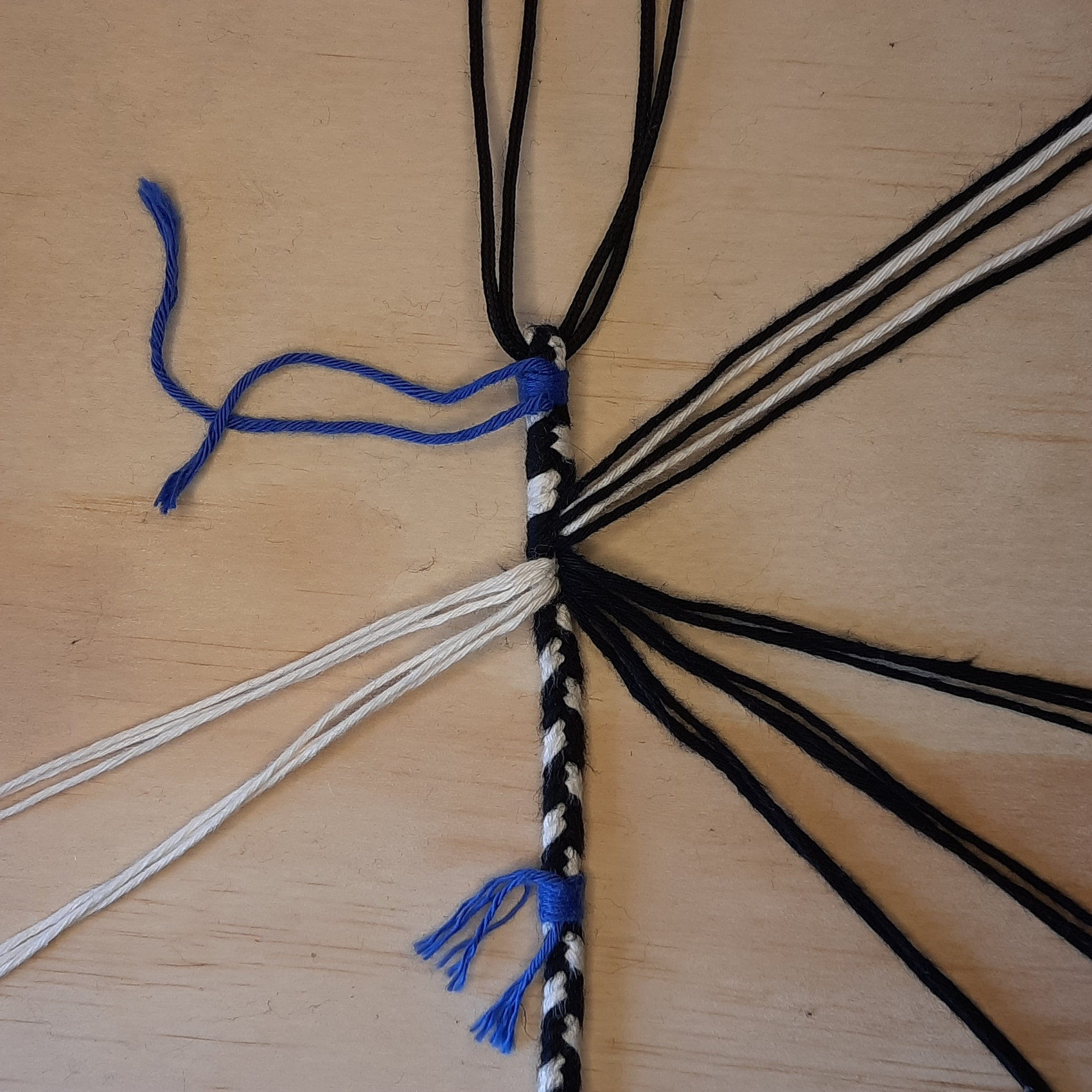 Bild des Schusslaufes