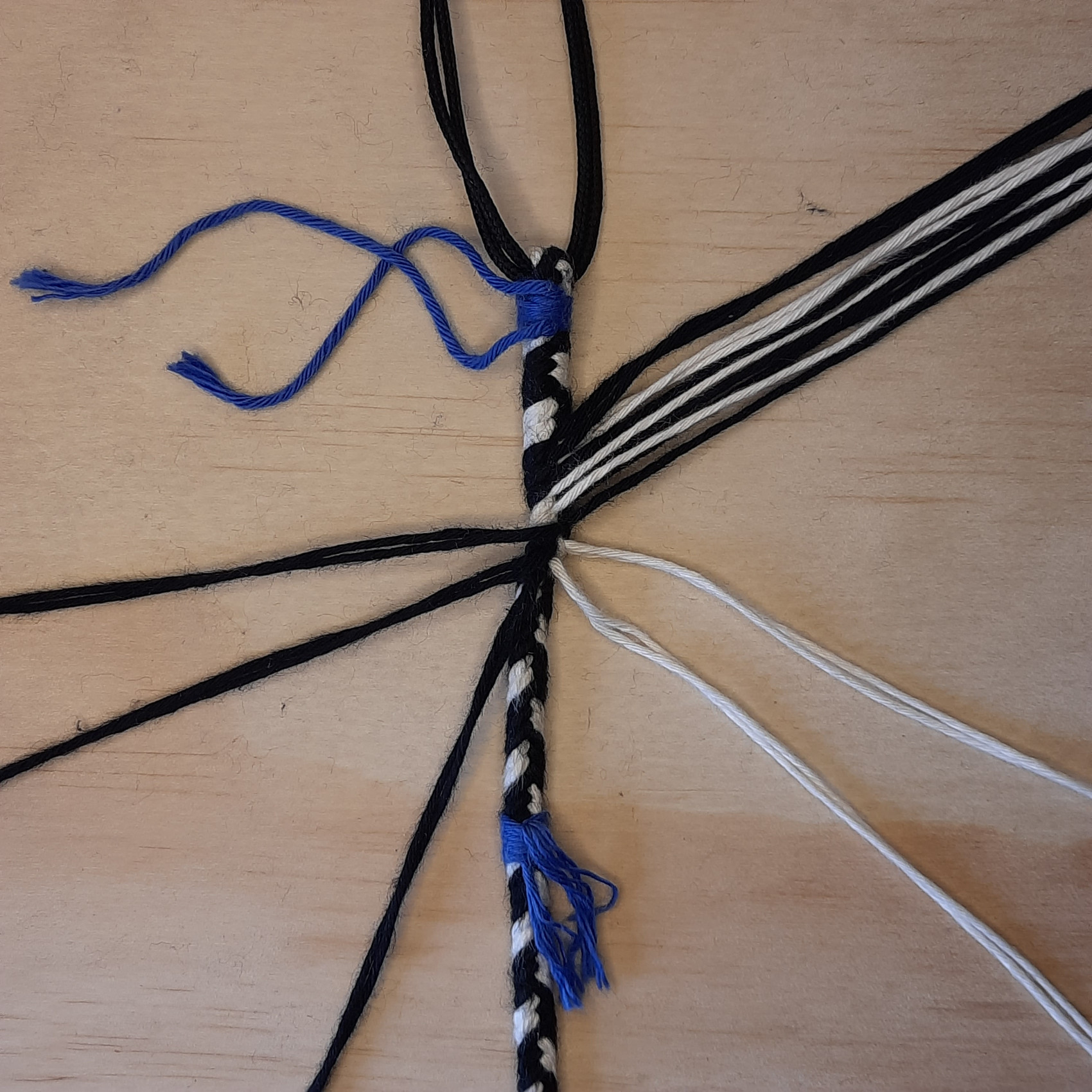 Bild des Schusslaufes